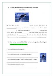 English Worksheet: Whales (Simple Present)