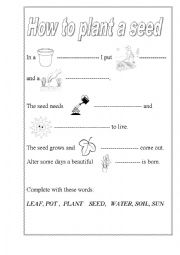 English Worksheet: How to plant a seed