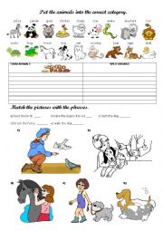 English Worksheet: Animals  
