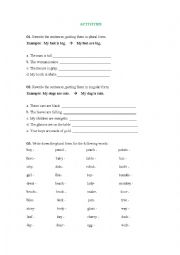 English Worksheet: PLURAL ACTIVITY