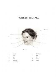 Parts of the face