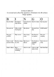 English Worksheet: Human Bingo