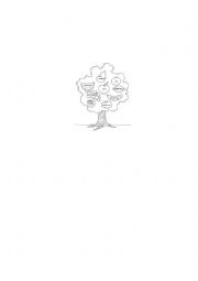 English Worksheet: fruits