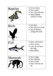 English Worksheet: Animal class Table 