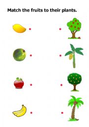 Fruits and their plants
