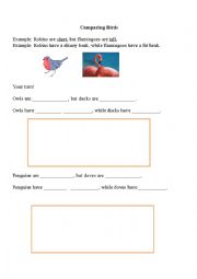 English Worksheet: Comparing Birds