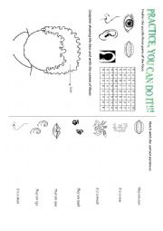 English Worksheet: THE PARTS OF THE FACE