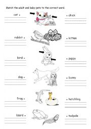 English Worksheet: animal