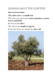 English Worksheet: The olive tree information  (part 1)