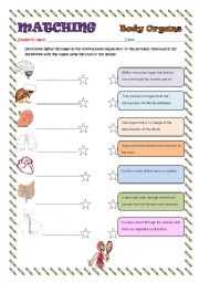 English Worksheet: BODY ORGANS (INTERNAL)