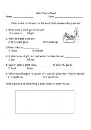 English Worksheet: What Plants Need
