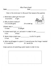 English Worksheet: What Plants Need