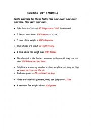 English Worksheet: numbers with animals