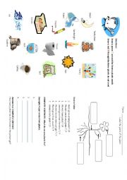 English Worksheet: Plants