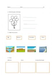 English Worksheet: the world around me