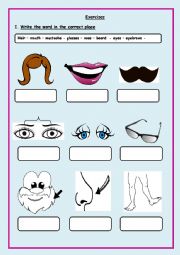 English Worksheet: Body parts