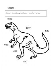 English Worksheet: Colour the body