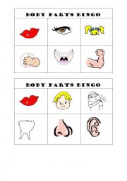 English Worksheet: body parts bingo