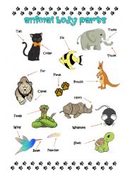 Animal Body Parts Pictionaru