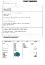 English Worksheet: animal riddles