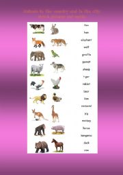 English Worksheet: Animals in the country and in the city. (1)