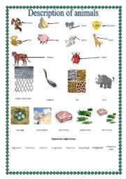 English Worksheet: Describing animal project