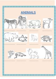 Animals - complete with the name - English adventure