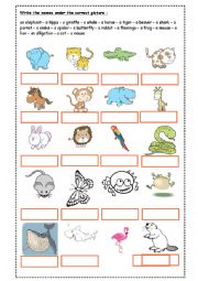 English Worksheet: Animal Names