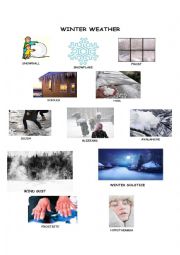 English Worksheet: winter weather pictionary