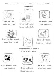 English Worksheet: animals