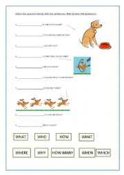 English Worksheet: Learn the question words with dogs!
