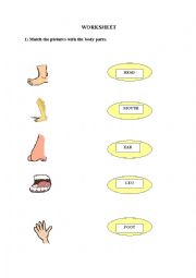 body parts activity paper