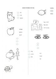 English Worksheet: Vocabulary with pictures ( fruits, adjectives, animals, verbs)