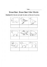 English Worksheet: brown bear