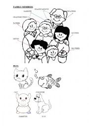 English Worksheet: Family members and pets