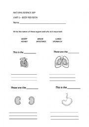 English Worksheet: Organs