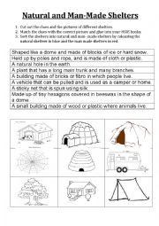 English Worksheet: Shelter match