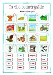 English Worksheet: IN THE COUNTRYSIDE