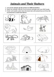 English Worksheet: Animals and Their Shelters