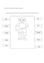 English Worksheet: body parts