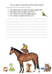 English Worksheet: I dont have a pet and my best friend doesnt have one either