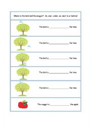 English Worksheet: Where is the bird and the maggot?