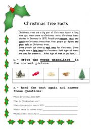 English Worksheet: Christmas reading: chritsmas tree