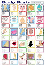 English Worksheet: Body Parts