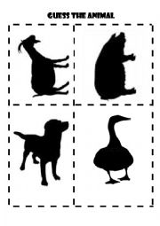 Guess The Animals