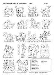 English Worksheet: ANIMALS WORKSHEET!