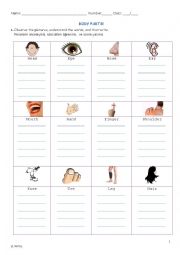 English Worksheet: body parts