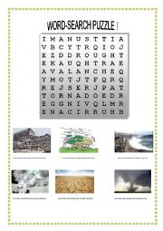 English Worksheet: natural disasters puzzle