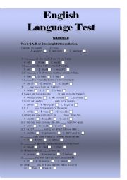 English Worksheet: English Language Test (Grammar and Vocabulary)