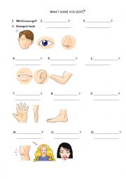 English Worksheet: HAVE GOT & HAS GOT